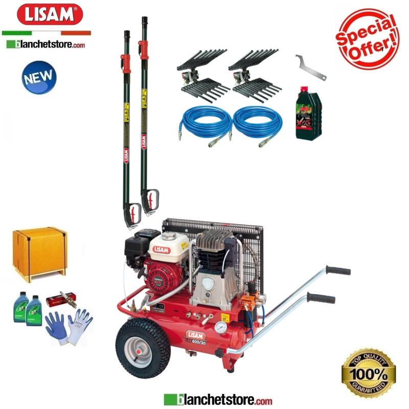 Kit PROFESSIONAL 2 compressore LISAM LM 600/30 Honda GX200