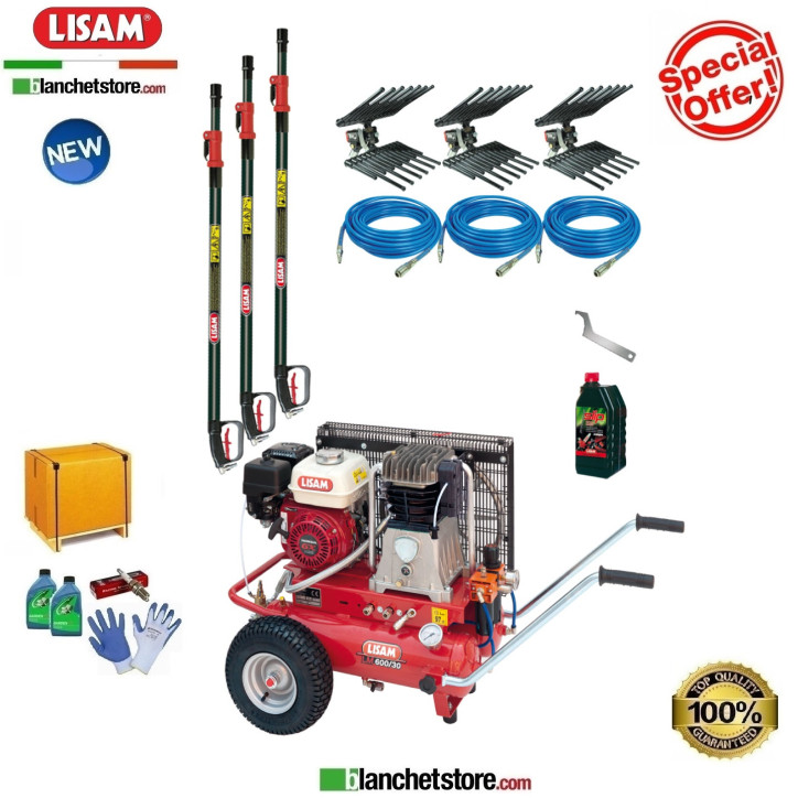 Kit PROFESSIONAL 3 compresseur LISAM LM 600/30 Honda GX200