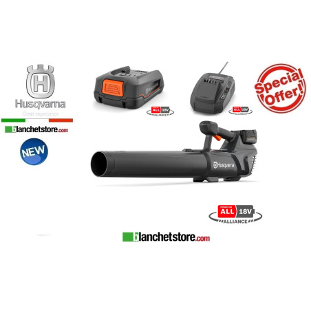 Husqvarna B8X-P4A Kit 4AH cordless leaf blower with battery 18V 9706204‑04