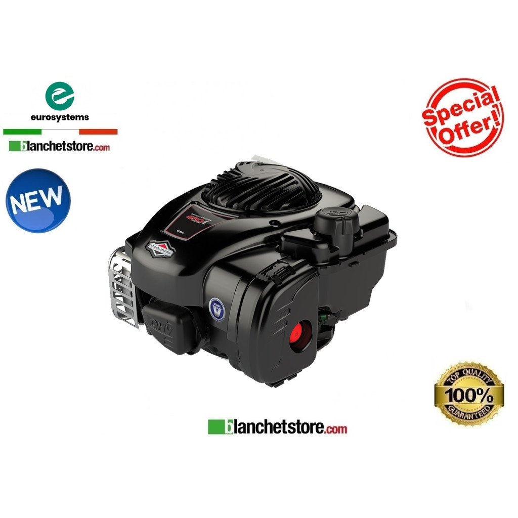 Motobineuse Eurosystems Euro3 Evo Moteur B&S 450E-Series 1 marche avant + marche arriere 946510100