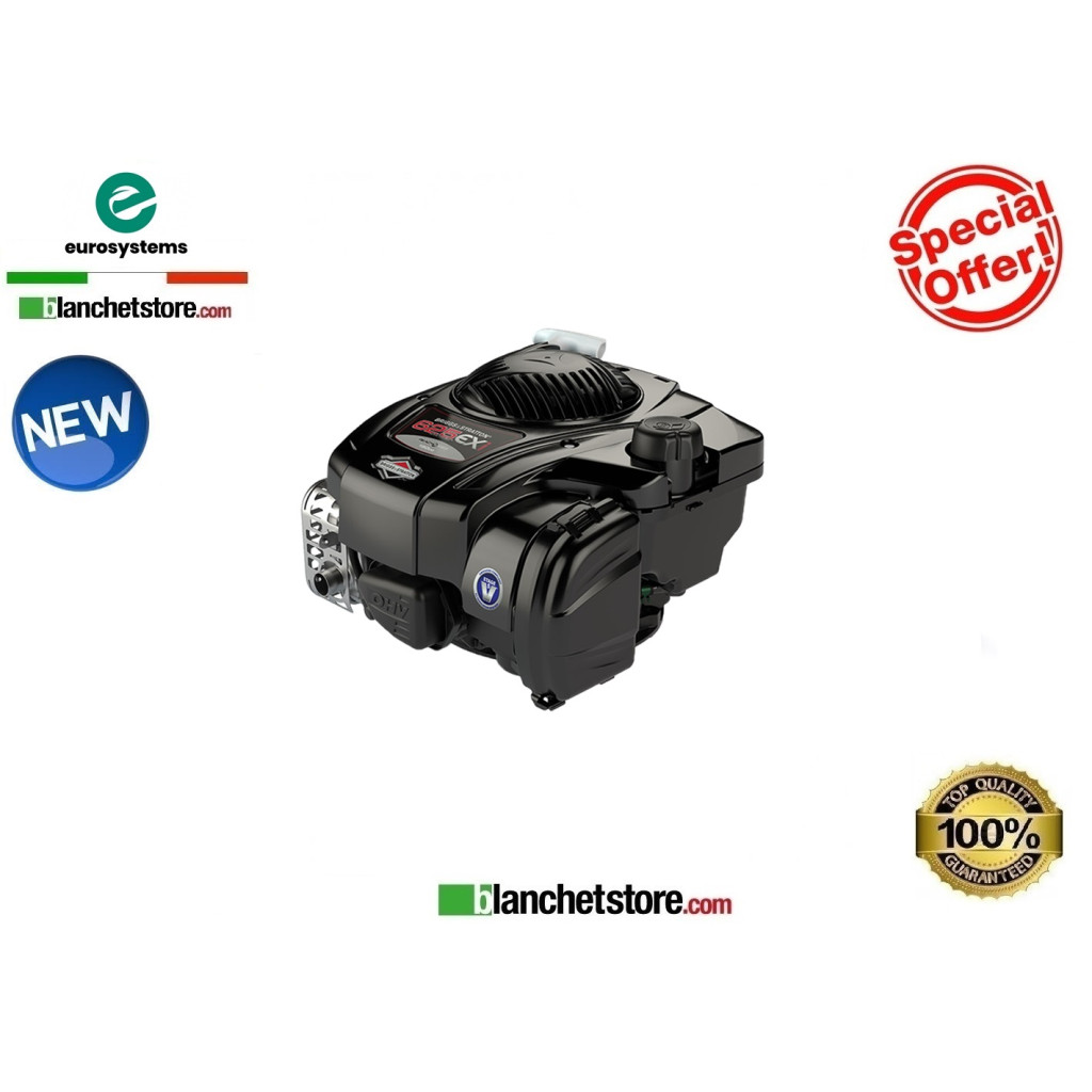 Motofalciatrice Eurosystems M 210 Bilama Motore B&Stratton 625EXi-Series 965164600-905202000