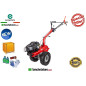 Multi attrezzo Eurosystems P70 EVO Corpo macchina Motore Brigge & Stratton 850Exi Series 986600000