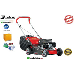 Lawn mower Efco LR 48 PK Comfort Engine Emak K 450 OHV Cutting width 46cm -With collection bin 60Lt