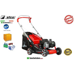 Lawn mower Efco LR 44 PB Comfort Plus Engine Brigge & Stratton Serie 450 E Cutting width 41cm -With collection bin 70Lt