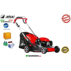 Tondeuse à gazon Thermique Efco LR 53 TK Comfort Plus Moteur Emak K 655 OHV Largeur de coupe 51 cm Sac Lt. 70