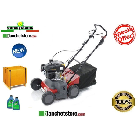 Scarificateur Eurosystems SC 42 B Scarificateur Brigge & Stratton 450 E avec sac de collecte 974000000