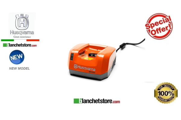 Acessoires Batterie Husqvarn